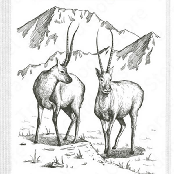 Sac de couchage double antilope avec oreiller - Image 3